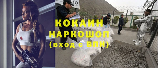 mdpv Краснослободск