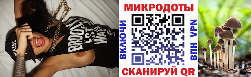 Галлюциногенные грибы Psilocybine cubensis  где купить наркотик  Питкяранта 